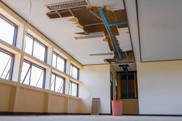 Best Basement water damage restoration  in Venersborg, WA