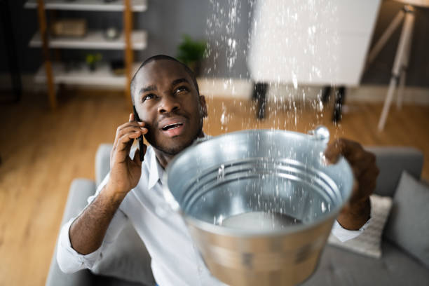Best Mold removal after water damage  in Venersborg, WA