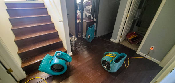 Best Residential water damage restoration  in Venersborg, WA