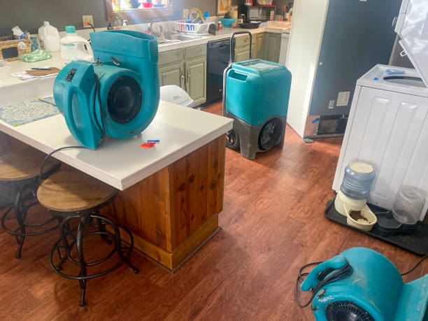 Best Mold removal after water damage  in Venersborg, WA