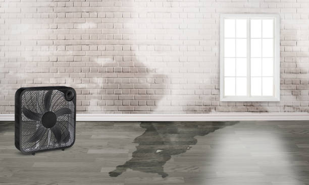 Fire Damage Restoration in Venersborg, WA