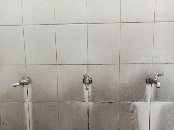 Reliable Venersborg, WA Water damage restoration Solutions