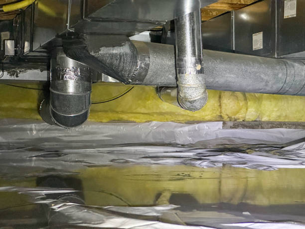 Best Water damage restoration cost  in Venersborg, WA