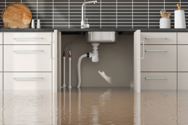Best Water damage restoration near me  in Venersborg, WA
