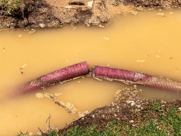 Best Water damage contractors near me  in Venersborg, WA
