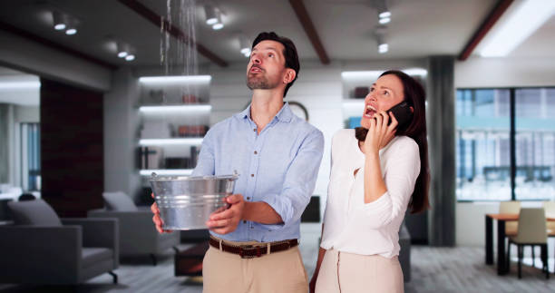 Best Flood restoration services  in Venersborg, WA